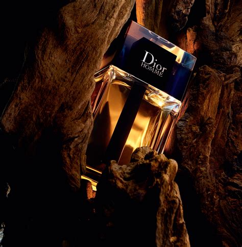 dior homme edt profumeria web|dior 2020 cologne.